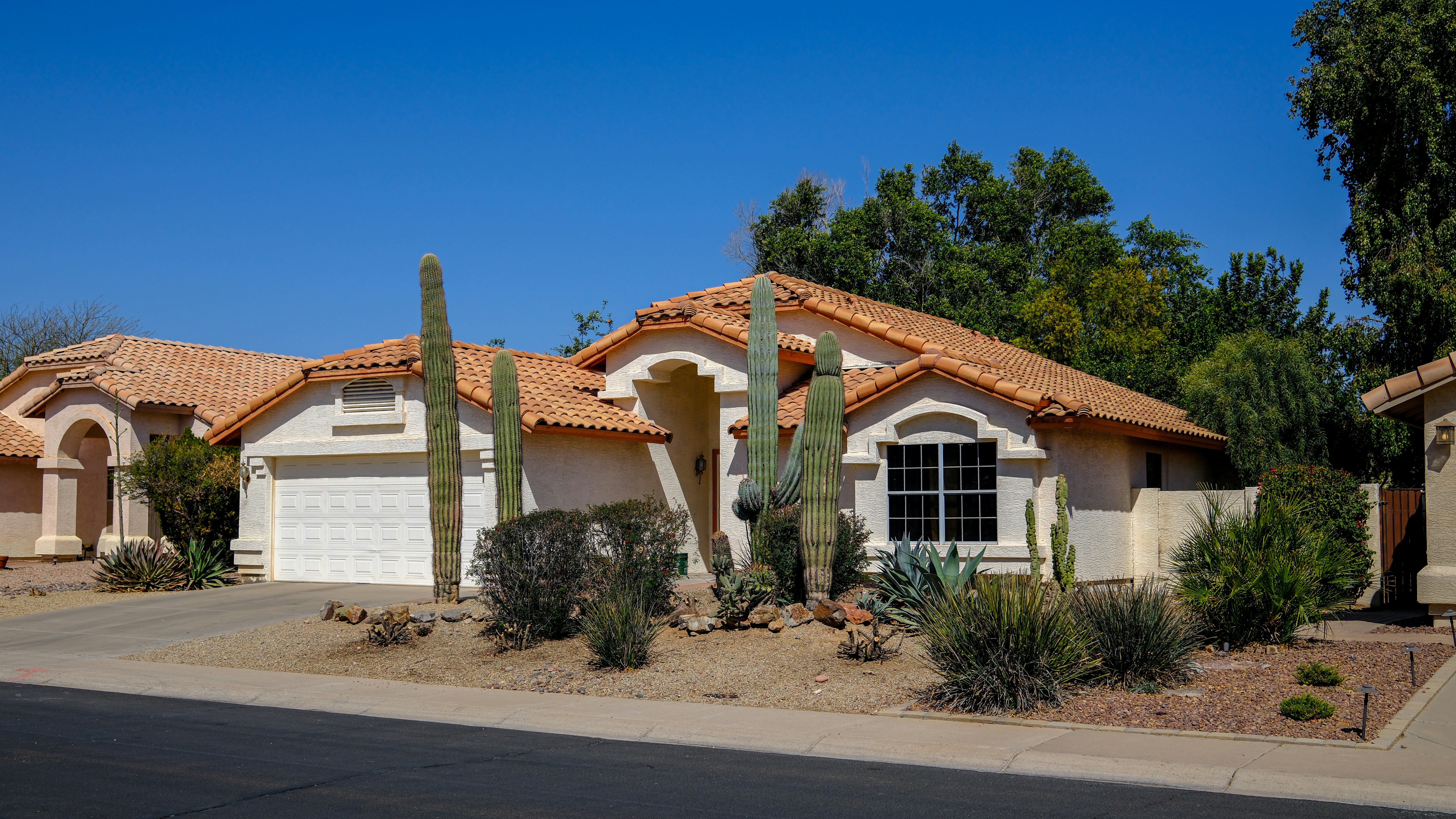 Mesa style home with desert landscaping