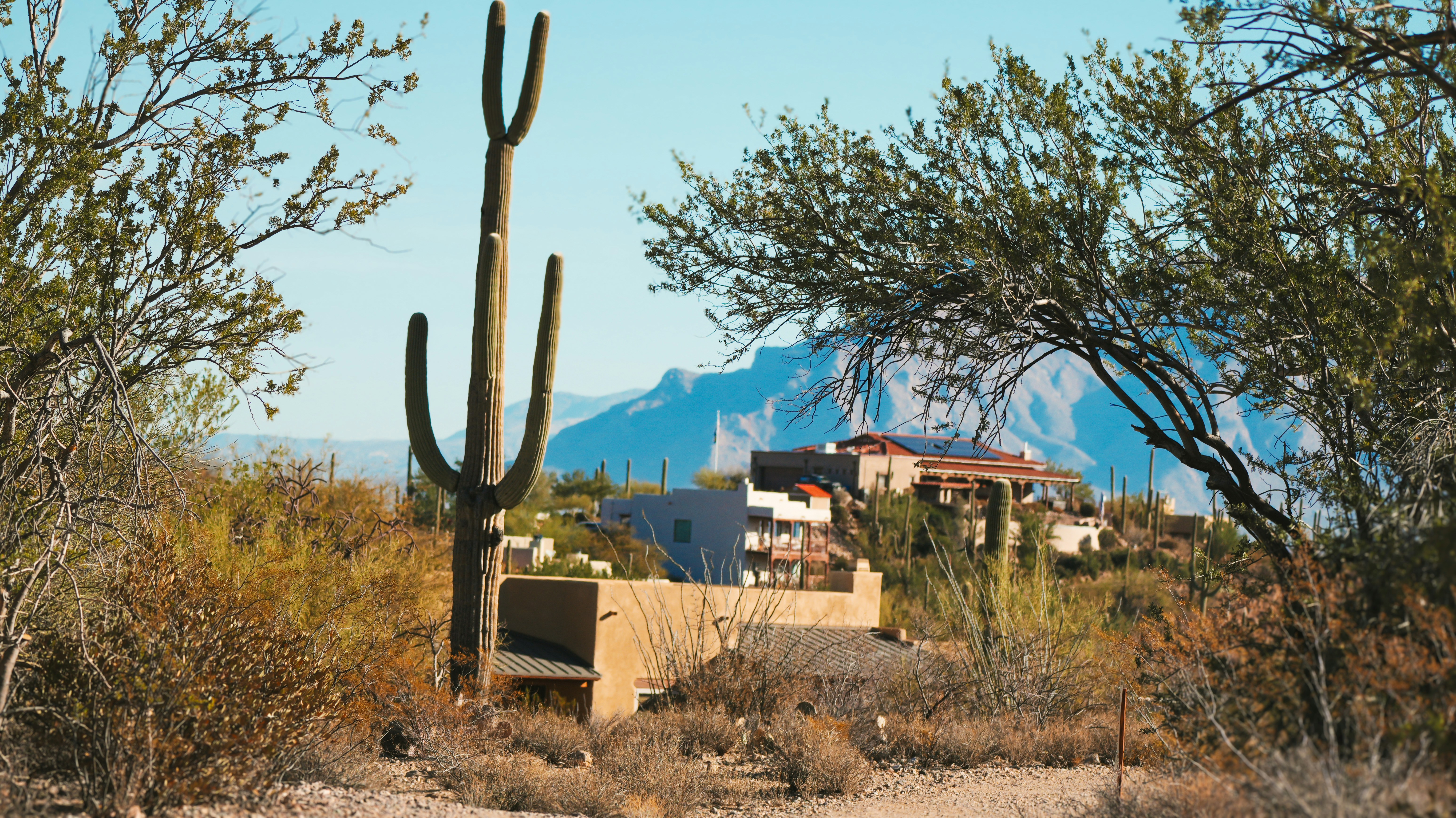 Mesa desert home exterior